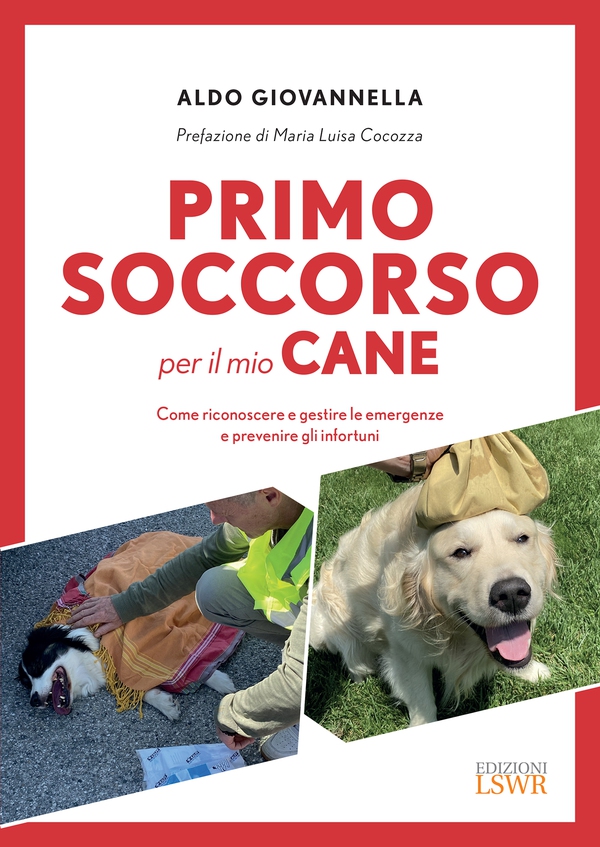 Primo soccorso per il mio cane - Librerie.coop Primo soccorso per il mio cane - Librerie.coop