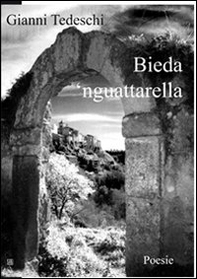 Bieda 'nguattarella - Librerie.coop