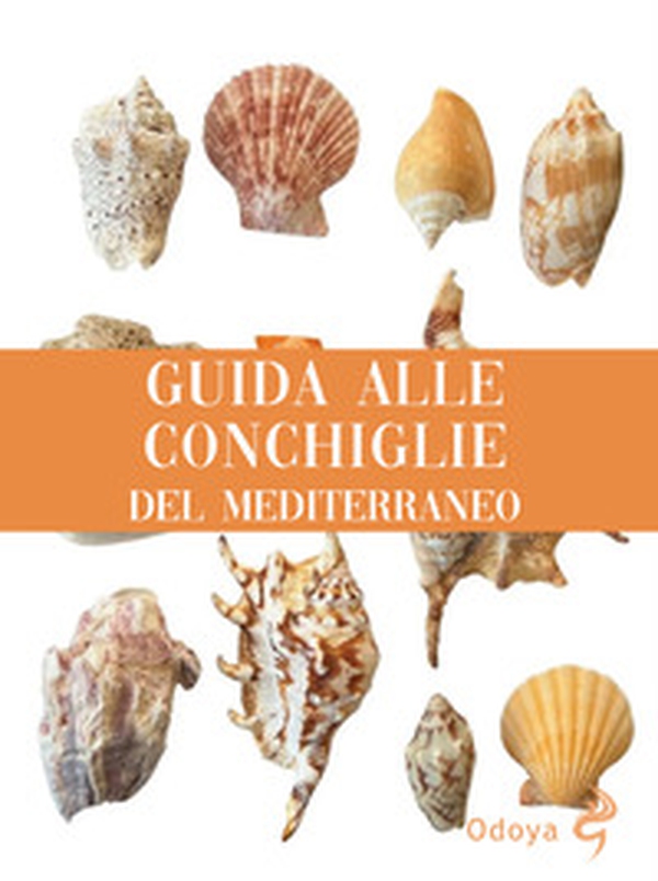 Guida alle conchiglie del Mediterraneo - Librerie.coop Guida alle conchiglie del Mediterraneo - Librerie.coop