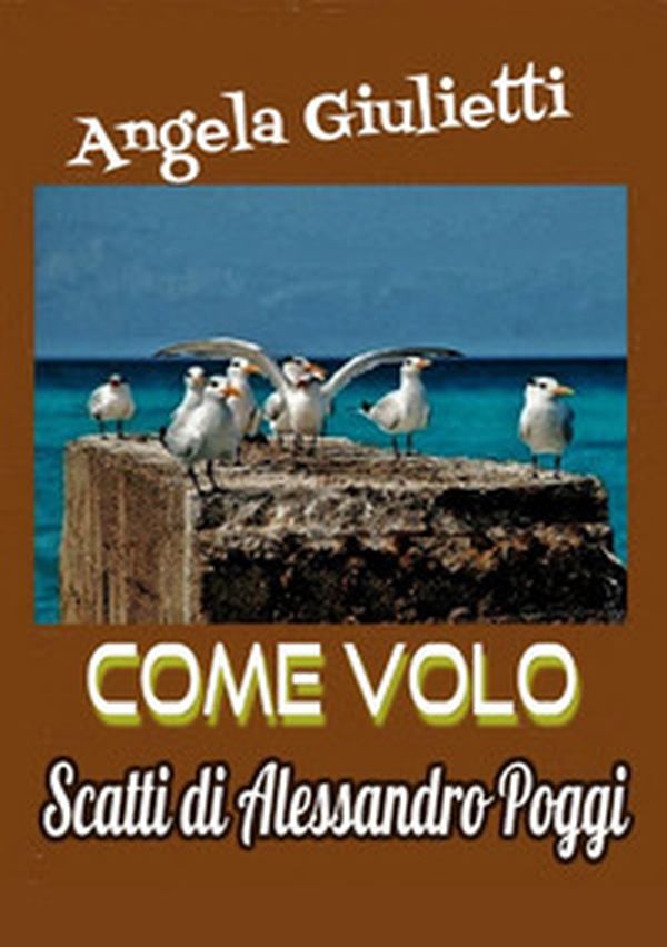 Come volo - Librerie.coop Come volo - Librerie.coop
