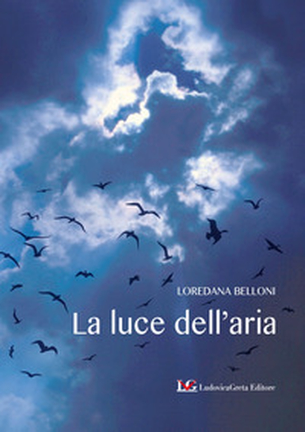 La luce dell'aria - Librerie.coop La luce dell'aria - Librerie.coop
