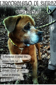 L'Arcobaleno di Shiraz - Librerie.coop