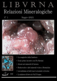 Relazioni mineralogiche. Libvrna - Librerie.coop