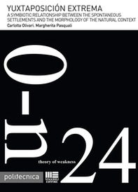 Yuxtaposición extrema. A symbiotic relationship between the spontaneous settlements and the morphology of the natural context - Librerie.coop