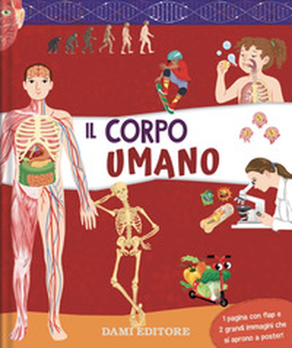 Il corpo umano - Librerie.coop