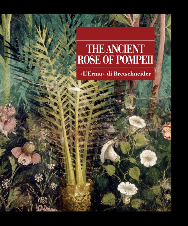 The Ancient Rose of Pompeii - Librerie.coop