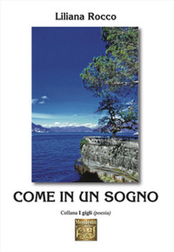 Come in un sogno - Librerie.coop Come in un sogno - Librerie.coop