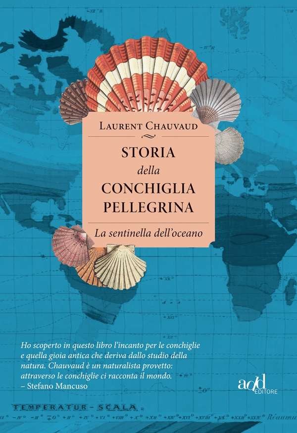 Storia della conchiglia pellegrina - Librerie.coop Storia della conchiglia pellegrina - Librerie.coop
