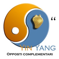 Yin Yang. Opposti complementari - Librerie.coop
