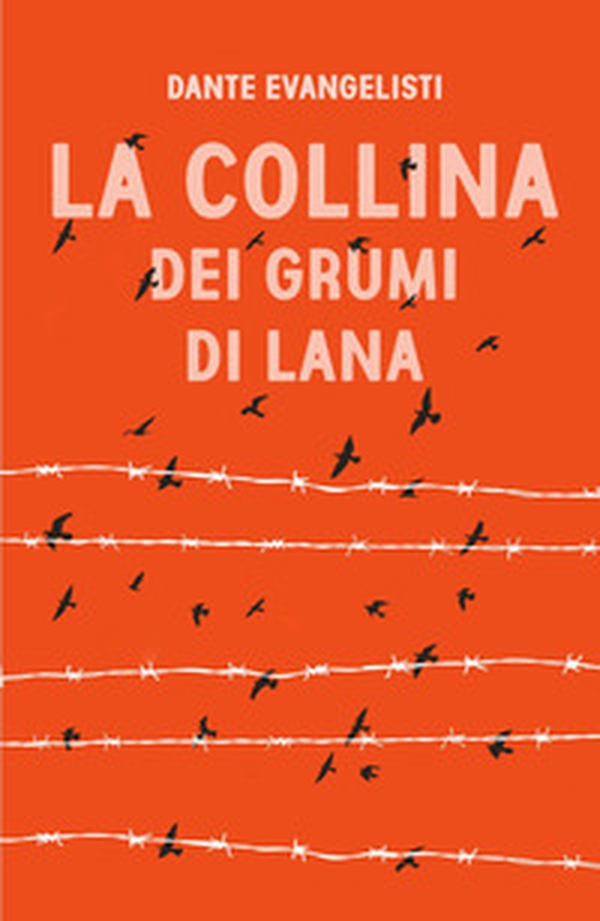 La collina dei grumi di lana - Librerie.coop La collina dei grumi di lana - Librerie.coop
