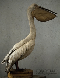 Lidia Patelli. Misleading impressions - Librerie.coop