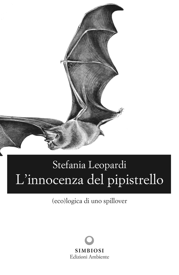 L'innocenza del pipistrello - Librerie.coop