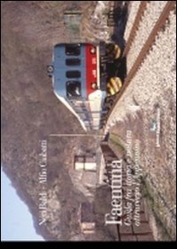 Faentina. Guida fra storia e natura attraverso l'Appennino - Librerie.coop