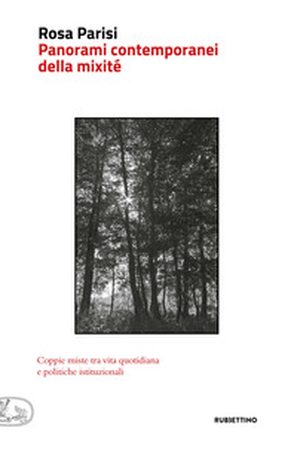 Panorami contemporanei della mixité. Coppie miste tra vita quotidiana e politiche istituzionali - Librerie.coop Panorami contemporanei della mixité. Coppie miste tra vita quotidiana e politiche istituzionali - Librerie.coop