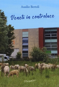 Veneti in controluce - Librerie.coop Veneti in controluce - Librerie.coop
