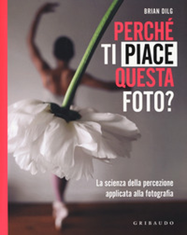 Perché ti piace questa foto? La scienza della percezione applicata alla fotografia - Librerie.coop Perché ti piace questa foto? La scienza della percezione applicata alla fotografia - Librerie.coop