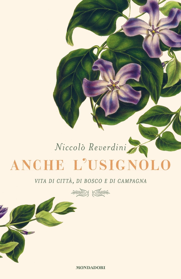Anche l'usignolo - Librerie.coop Anche l'usignolo - Librerie.coop