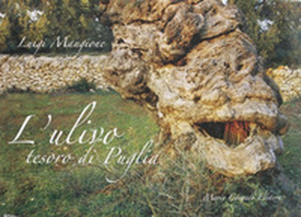 L'ulivo tesoro di Puglia - Librerie.coop L'ulivo tesoro di Puglia - Librerie.coop