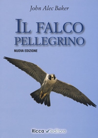 Il falco pellegrino - Librerie.coop Il falco pellegrino - Librerie.coop