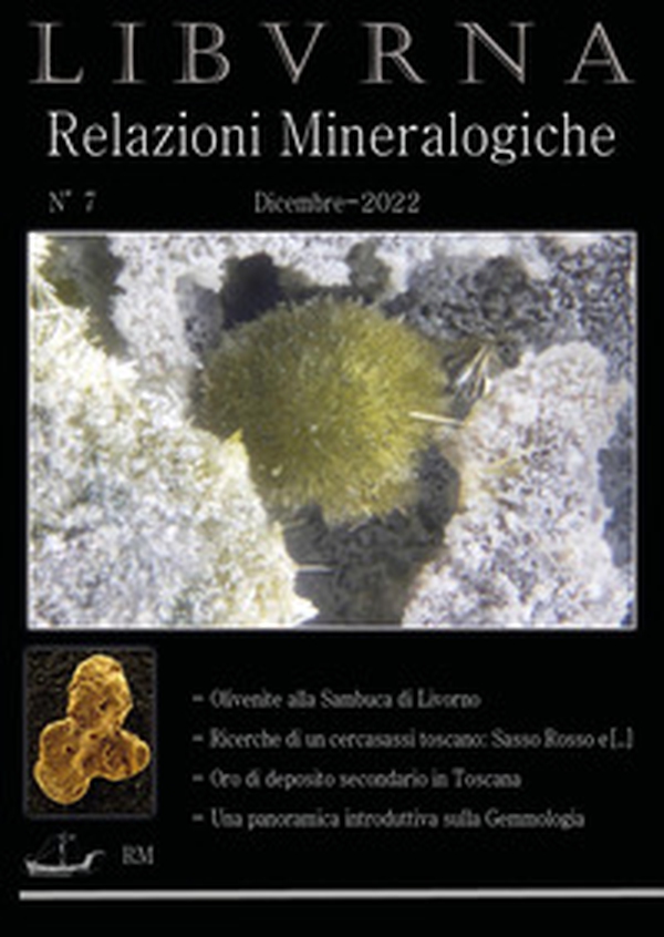 Relazioni mineralogiche. Libvrna - Vol. 7 - Librerie.coop Relazioni mineralogiche. Libvrna - Vol. 7 - Librerie.coop