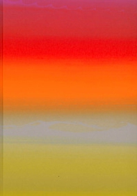 Raphael Hefti: Salutary Failures. Ediz. inglese e tedesca - Librerie.coop