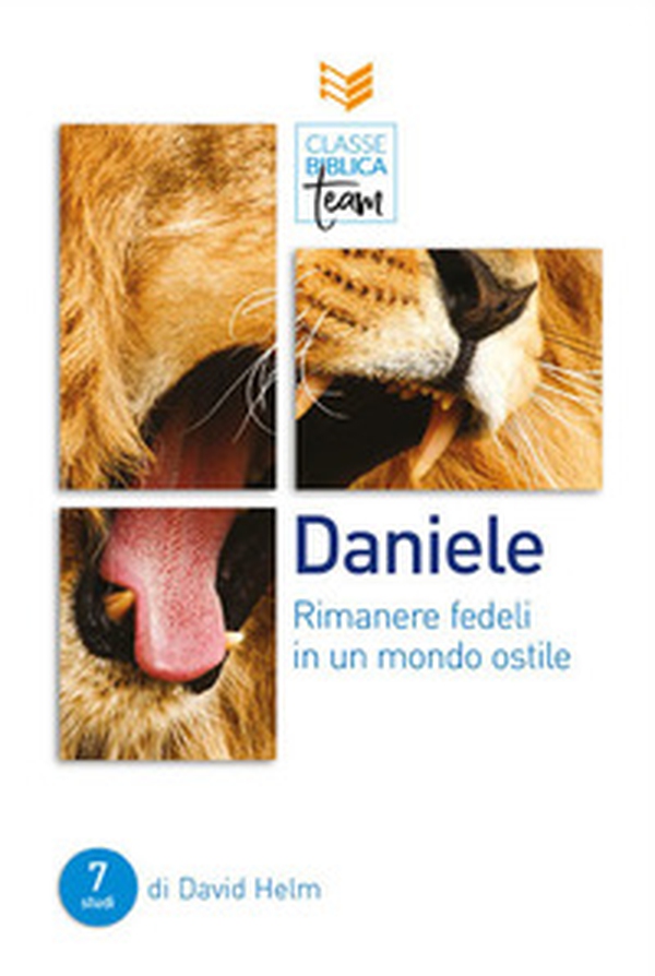 Daniele: rimanere fedeli in un mondo ostile - Librerie.coop Daniele: rimanere fedeli in un mondo ostile - Librerie.coop