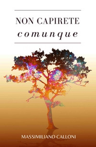 Non capirete comunque - Librerie.coop