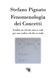 Fenomenologia dei concetti. Credere in ciò che non si vede per non vedere ciò che si crede - Librerie.coop