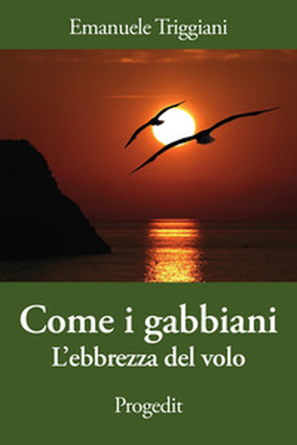 Come i gabbiani. L'ebbrezza del volo - Librerie.coop Come i gabbiani. L'ebbrezza del volo - Librerie.coop