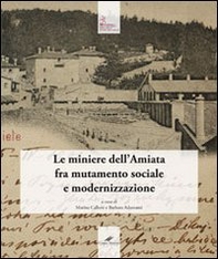 Il diario dell'Ing. Vincenzo Spirek (1894-1907). Le miniere dell'Amiata fra mutamento sociale e modernizzazione - Librerie.coop