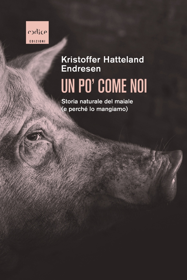 Un po' come noi - Librerie.coop Un po' come noi - Librerie.coop