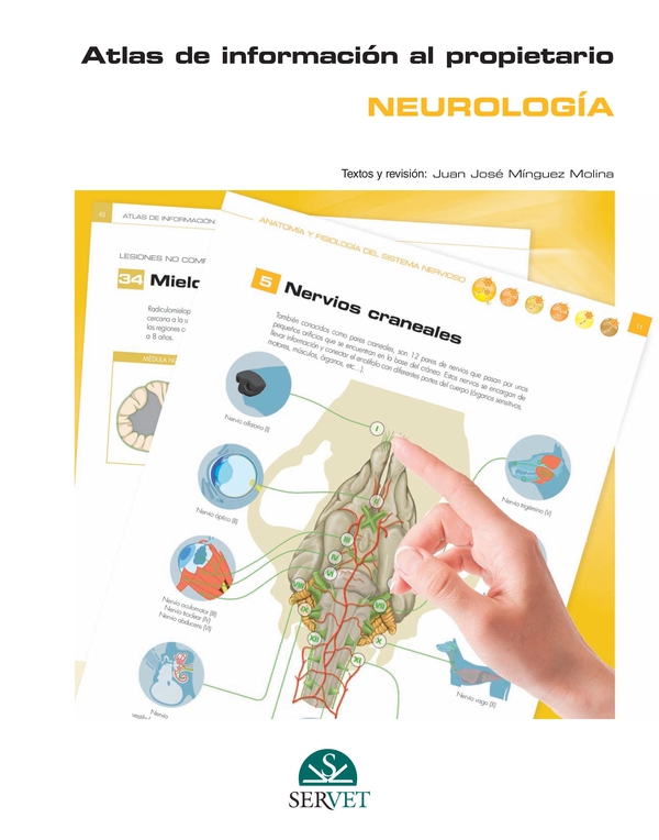 Altas de información al propietario. Neurología - Librerie.coop Altas de información al propietario. Neurología - Librerie.coop