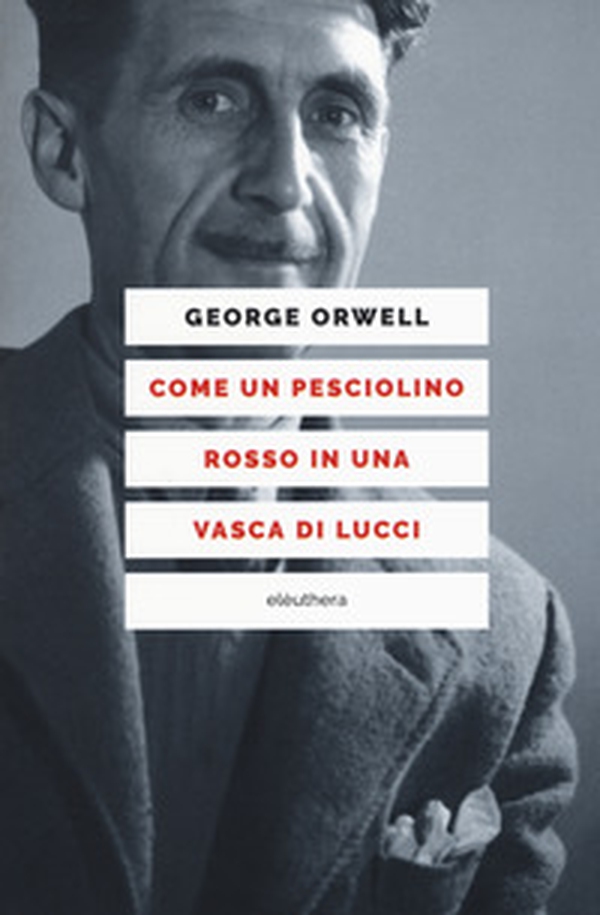 Come un pesciolino rosso in una vasca di lucci - Librerie.coop Come un pesciolino rosso in una vasca di lucci - Librerie.coop