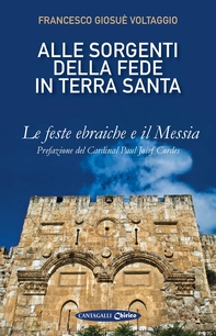 Alle sorgenti della fede in Terra Santa - Librerie.coop