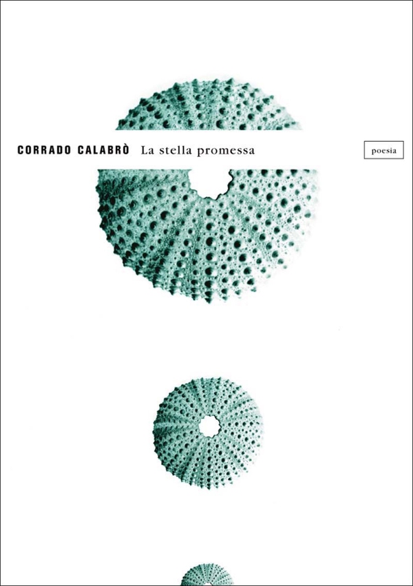 La stella promessa - Librerie.coop La stella promessa - Librerie.coop