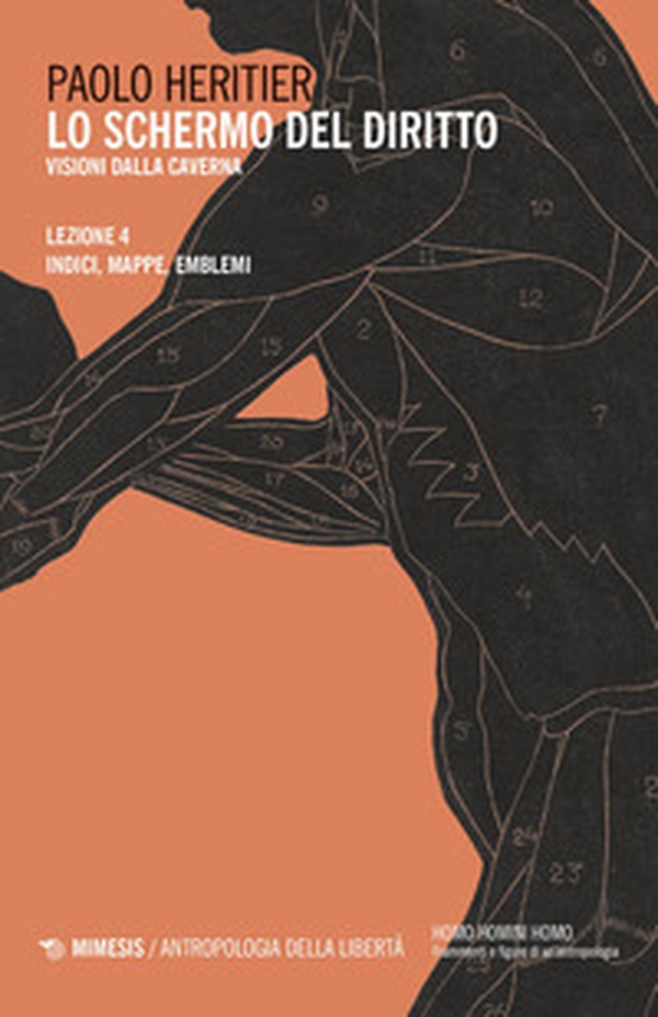 Lo schermo del diritto. Visioni dalla caverna - Vol. 4 - Librerie.coop