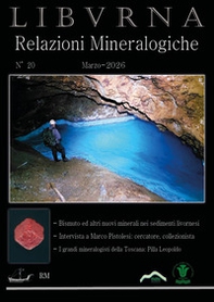 Relazioni mineralogiche. Libvrna - Vol. 20 - Librerie.coop
