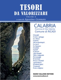 Tesori da valorizzare. Calabria, provincia di Vibo Valentia - Vol. 2 - Librerie.coop