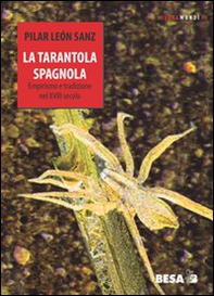 La tarantola spagnola. Empirismo e tradizione nel XVIII secolo - Librerie.coop