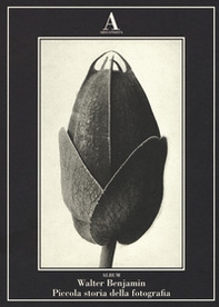 Piccola storia della fotografia - Librerie.coop