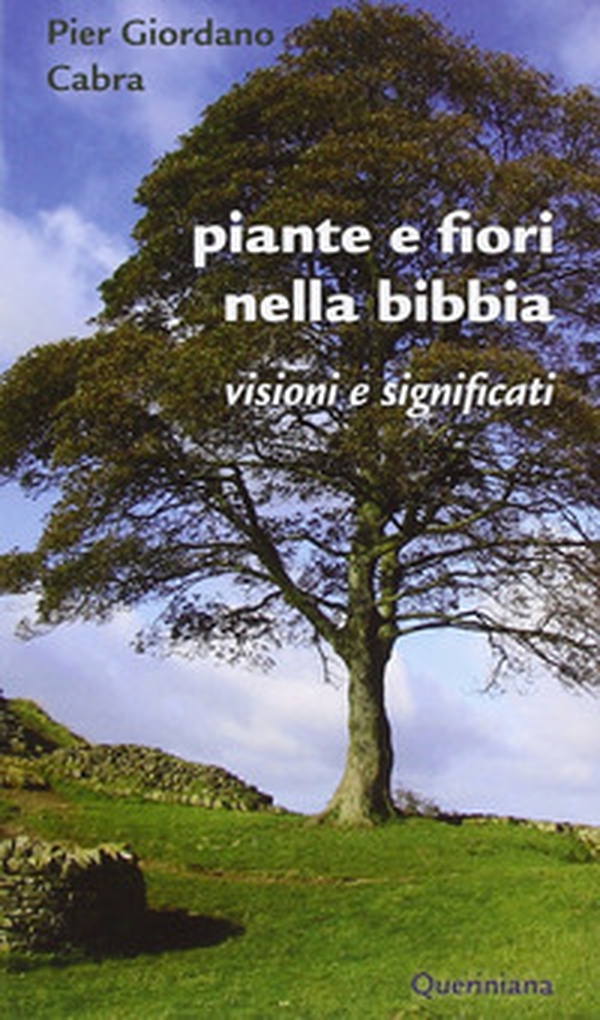 Piante e fiori nella Bibbia. Visioni e significati - Librerie.coop Piante e fiori nella Bibbia. Visioni e significati - Librerie.coop