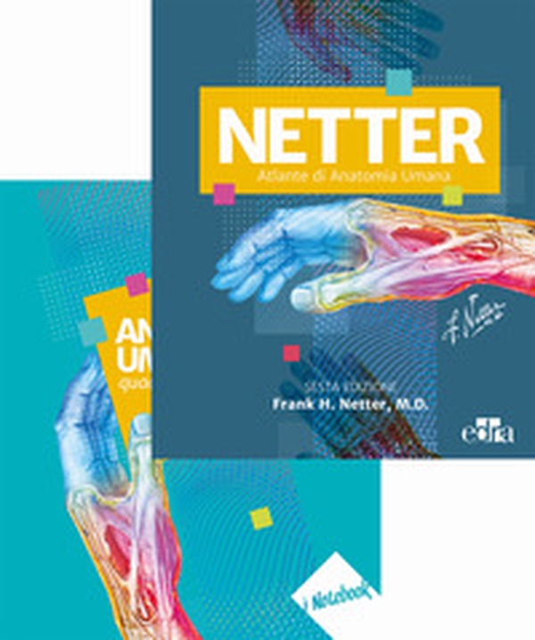 Netter. Atlante di anatomia umana - Librerie.coop Netter. Atlante di anatomia umana - Librerie.coop