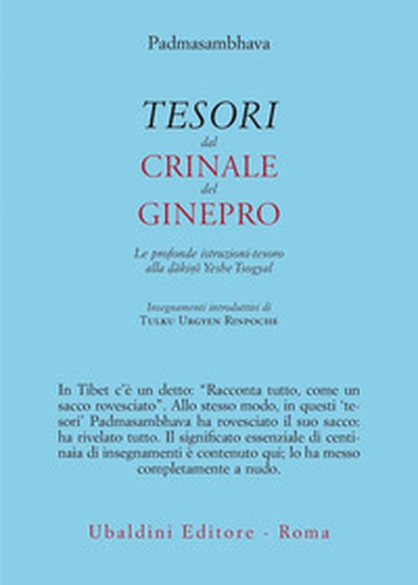 Tesori dal crinale del ginepro. Le profonde istruzioni-tesoro alla dâkinî Yeshe Tsogyal - Librerie.coop Tesori dal crinale del ginepro. Le profonde istruzioni-tesoro alla dâkinî Yeshe Tsogyal - Librerie.coop