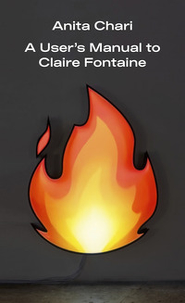 A User's Manual to Claire Fontaine - Librerie.coop A User's Manual to Claire Fontaine - Librerie.coop