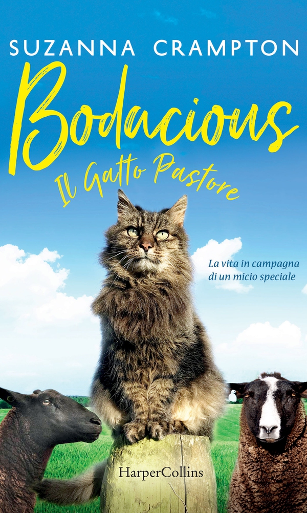 Bodacious - Il gatto pastore - Librerie.coop Bodacious - Il gatto pastore - Librerie.coop