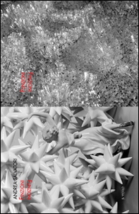 Andrea Salvatori. CaCO3. Finzioni/Funzioni. Ediz. italiana e inglese - Librerie.coop