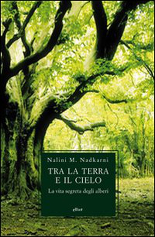 Tra la terra e il cielo. La vita segreta degli alberi - Librerie.coop Tra la terra e il cielo. La vita segreta degli alberi - Librerie.coop