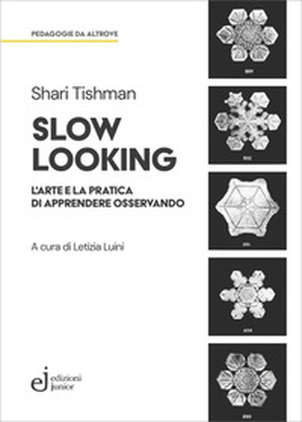 Slow looking. L'arte e la pratica di apprendere osservando - Librerie.coop