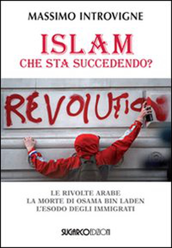 Islam. Che sta succedendo? Le rivolte arabe. La morte di Osama Bin Laden. L'esodo degli immigrati - Librerie.coop Islam. Che sta succedendo? Le rivolte arabe. La morte di Osama Bin Laden. L'esodo degli immigrati - Librerie.coop