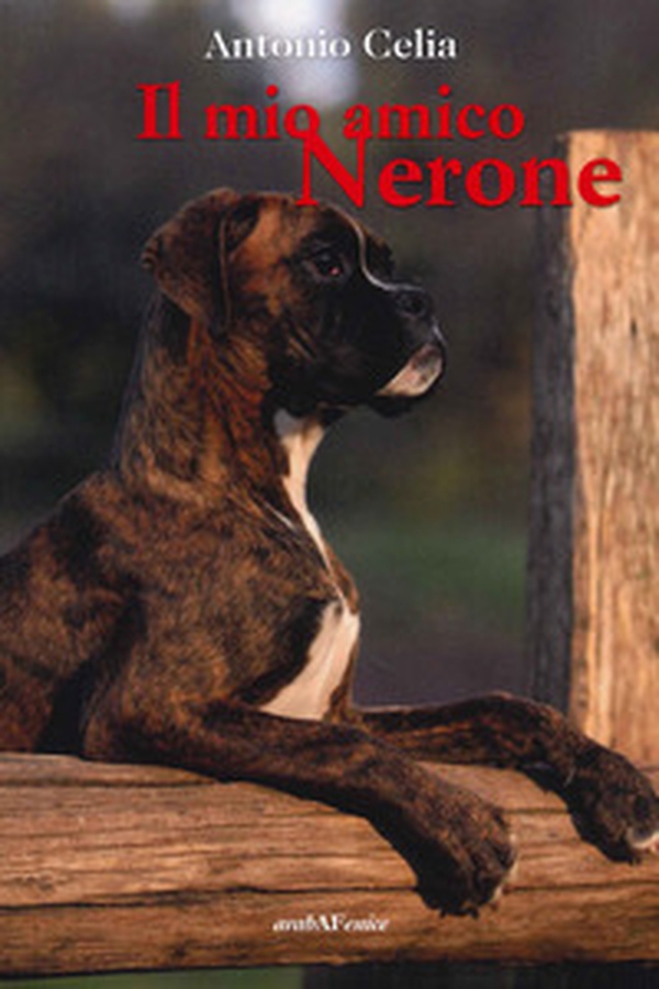 Il mio amico Nerone - Librerie.coop Il mio amico Nerone - Librerie.coop